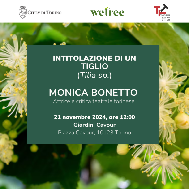 Un tiglio per Monica Bonetto